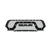 GRILLE RADIATOR - image 4