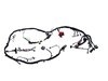 WIRING HEADLAMP TO DASH - image 3