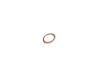 O RING PLUG - image 1