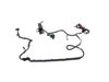 WIRING UNDERBODY - image 2