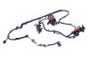 WIRING UNDERBODY - image 1