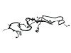 WIRING CHASSIS - image 1