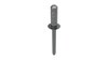RIVET - image 2