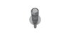 RIVET - image 3
