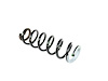SPRING FRONT COIL - image 1