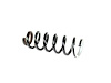 SPRING FRONT COIL - image 1