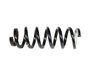 SPRING FRONT COIL - image 2