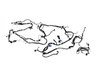 WIRING BODY - image 3