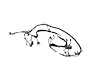 WIRING FRONT END MODULE - image 1