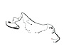 WIRING FRONT END MODULE - image 1