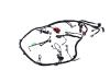 WIRING HEADLAMP TO DASH - image 1