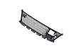 GRILLE LOWER - image 1