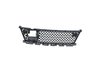 GRILLE LOWER - image 2