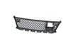 GRILLE LOWER - image 3