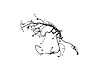 WIRING ENGINE - image 1
