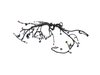 WIRING ENGINE - image 3