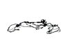 WIRING BODY - image 3