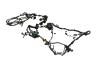 WIRING BODY - image 1