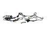 WIRING BODY - image 3