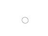 O RING - image 1