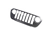 GRILLE RADIATOR - image 1