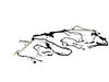 WIRING BODY - image 2