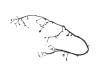 WIRING LIFTGATE - image 1