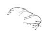 WIRING LIFTGATE - image 1