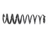 SPRING FRONT COIL - image 2