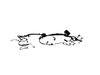 WIRING HEADLAMP TO DASH - image 2