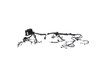 WIRING HEADLAMP TO DASH - image 3