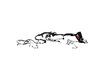WIRING HEADLAMP TO DASH - image 2