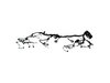 WIRING HEADLAMP TO DASH - image 2