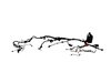WIRING HEADLAMP TO DASH - image 2