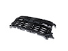 GRILLE RADIATOR - image 1