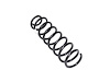 SPRING FRONT COIL - image 1