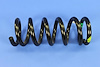 SPRING FRONT COIL - image 1