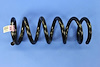 SPRING FRONT COIL - image 1