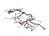 WIRING TRANSMISSION - image 1