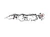 WIRING TRANSMISSION - image 2