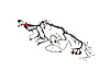 WIRING TRANSMISSION - image 1