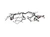 WIRING TRANSMISSION - image 2