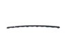 APPLIQUE FASCIA - image 2