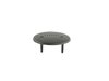 EMBLEM SPEAKER GRILL - image 2
