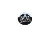 WHEEL CENTER CAP - image 1