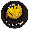 Spare Tire Cover 1997-13 Jeep Wrangler 2-Door - image 1