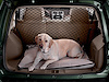 Cargo Net 2007-14 Jeep Compass - image 1