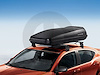Roof Box Cargo Carrier Chrysler/Dodge/Jeep - image 1