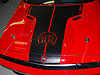 Applique/Decal Kit 2010 Dodge Challenger - image 1
