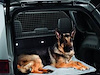Removable Dog Guard 2011-14 Jeep Grand Cherokee - image 1